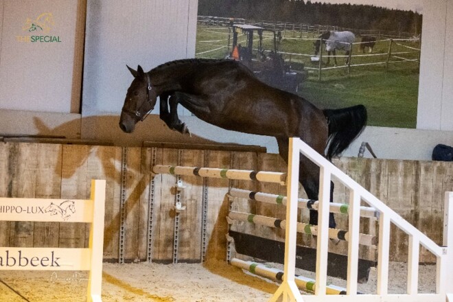 The Special auction mist zijn start niet!