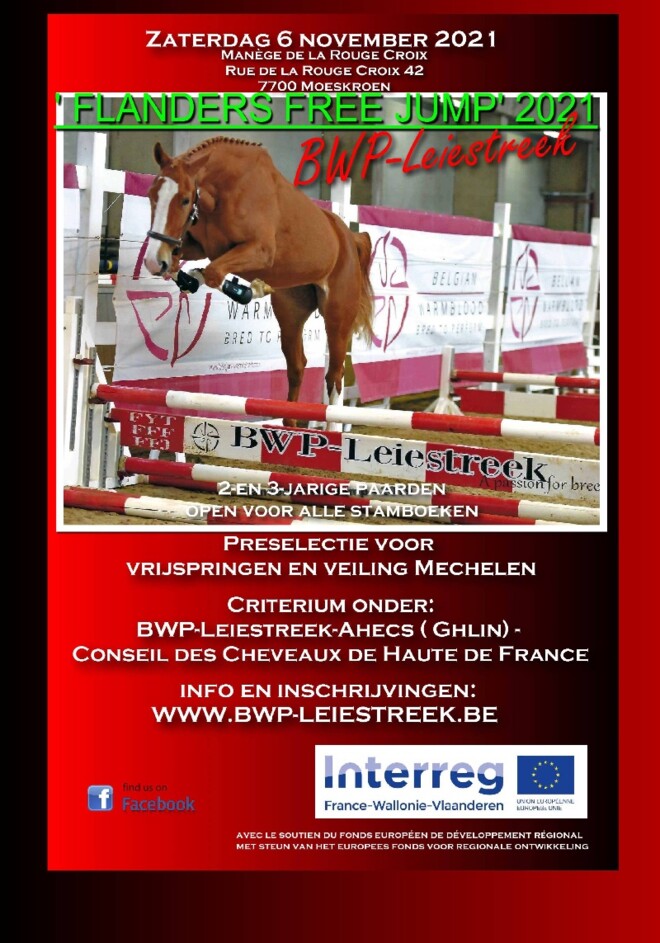 06/11 "Flanders Free Jump"