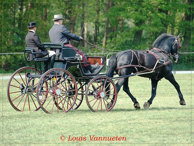 Belangrijke info aan de menners H1