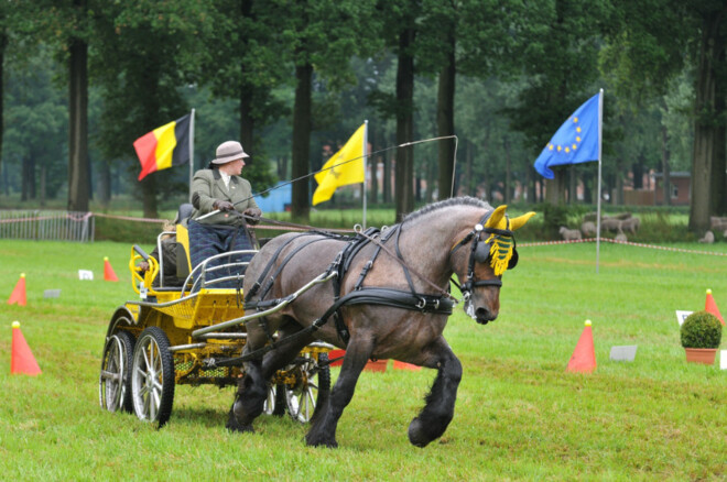 Winnaars MenSport Wisseltrofee