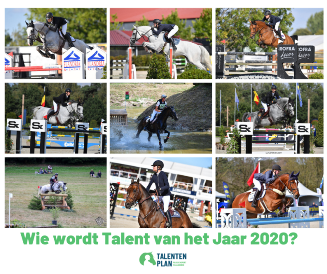 Talentenplan: Stem nu voor je favoriet!