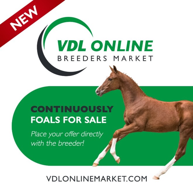 Nieuwe veulens op VDL Online Breeders Market