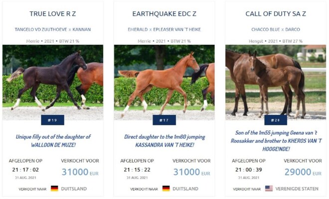 Twee veilingtoppers tijdens Z Online Auction