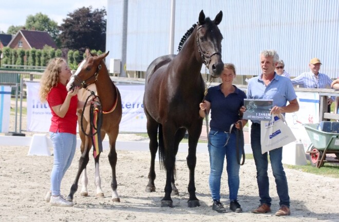 Prachtige veulens halen prijzen binnen op Flanders Foal Championship