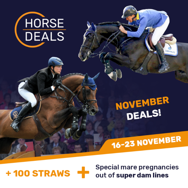 November Deals gaan van start