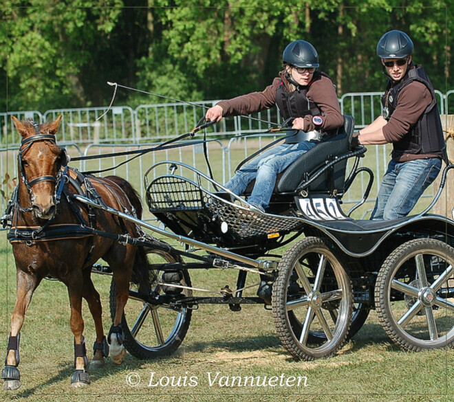 WK-ervaringen van Rhine Hölzken