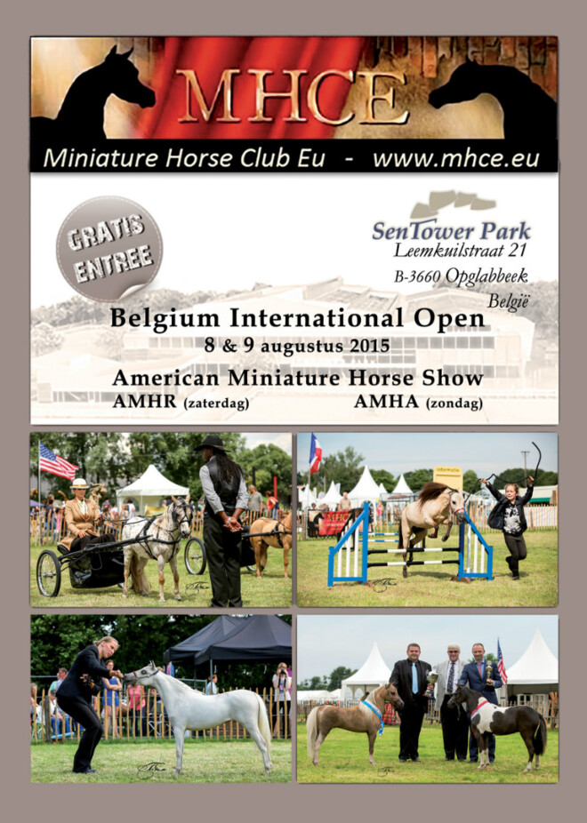 Show Miniatuurpaarden, SenTower Park, 8-9/08