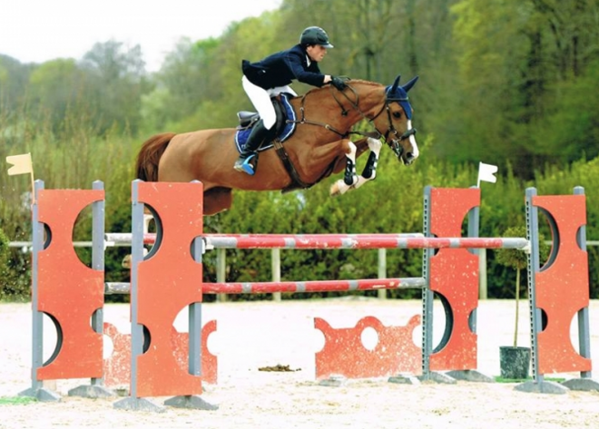 Bengtsson koopt topper bij Picobello Horses