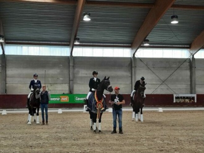 De nieuwe Belgische Kampioenen dressuur!