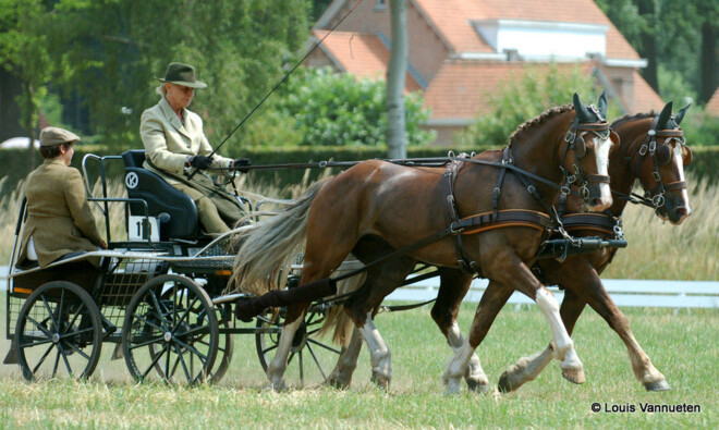 Foto's Merksplas