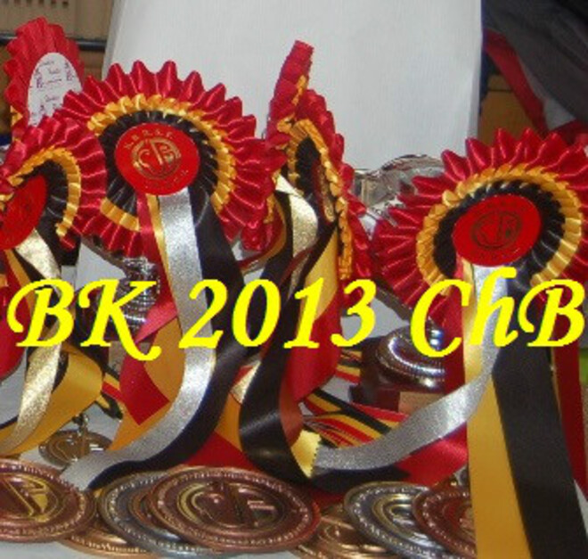 Resultaten Belgisch Kampioenschap 2013
