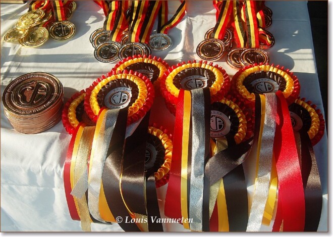 Belgische Kampioenen 2016
