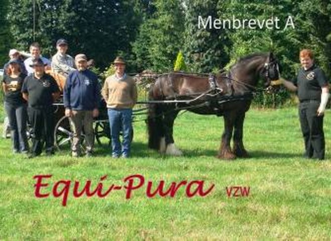 Geslaagden menbrevet A en B