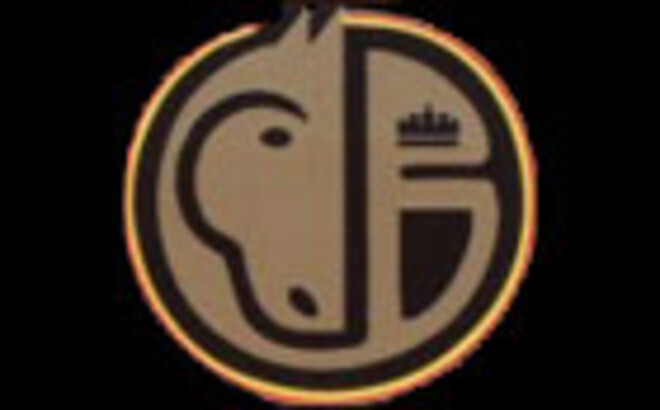 BK 2014, wie is organisator?