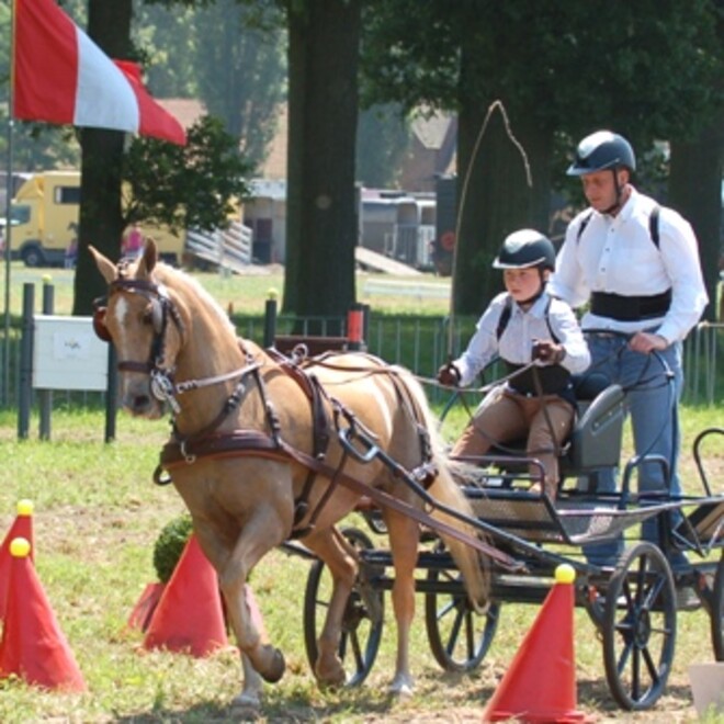 Szilvasvarad, EK-Brons voor Pierre-Manuel Brasseur