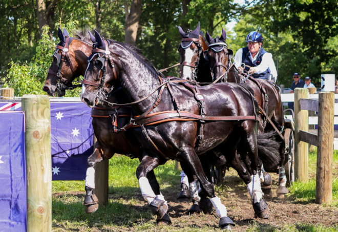Driving Valkenswaard International: voorproefje op komende kampioenschappen