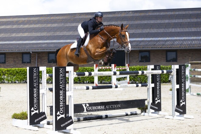 Kasjmir bekroont jubileumeditie Youhorse.auction met 50.000 euro