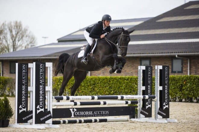 Youhorse.auction haalt ruim 1 miljoen omzet