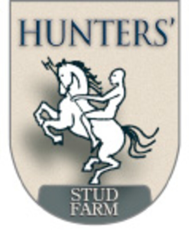 Veulenshow & BBQ - Hunters Studfarm