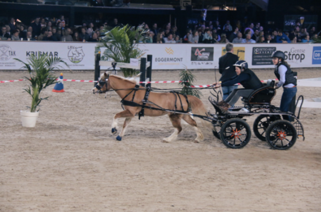 Mennen: Flanders Indoor Mencup gebouwd door internationaal parcoursbouwer Johan Jacobs