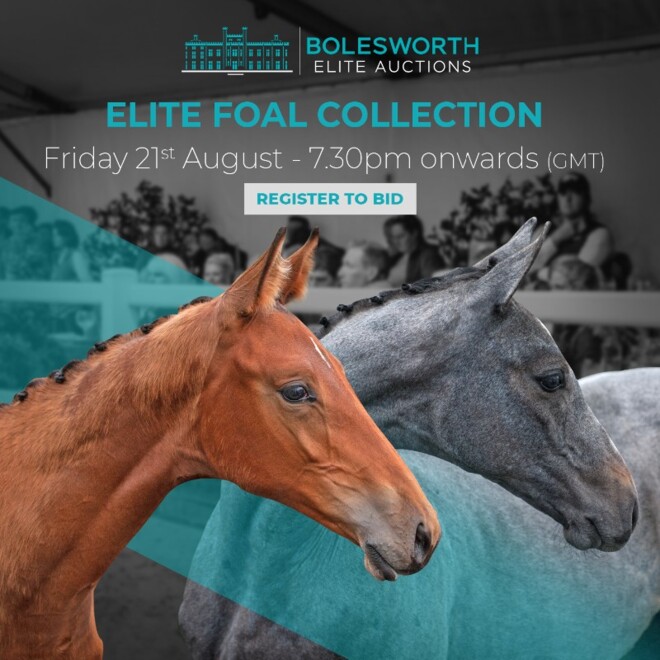 Bolesworth Elite Foal Auction | 21 augustus