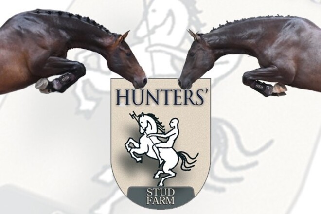 Hunters Studfarm veilt zijn paarden!