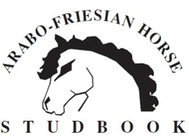 Middelburg, keuring Arabo-Friezen - 17 augustus
