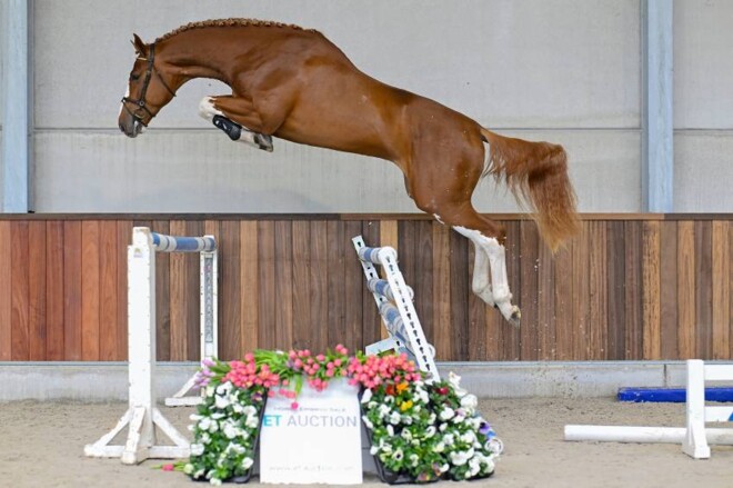Emerald van ’t Ruytershof levert veilingtopper tijdens ET Auction