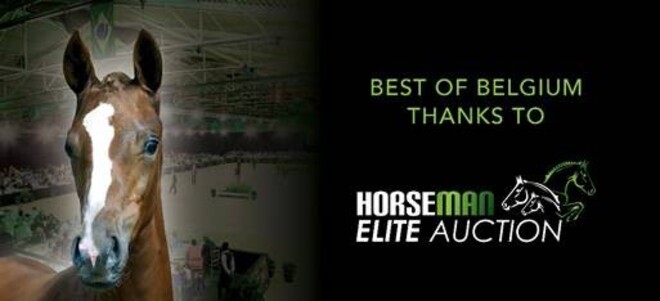 Nieuw concept bij Horseman Elite Auction!