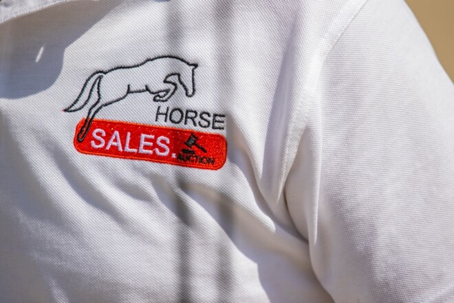 HorseSales.Auction kondigt tweede editie aan