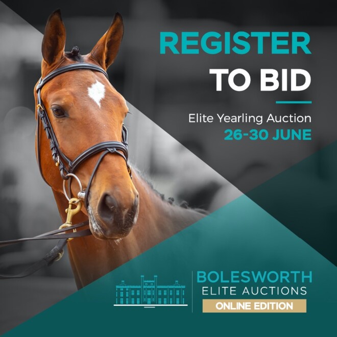 Bied nu op Bolesworth Elite Yearling Auction