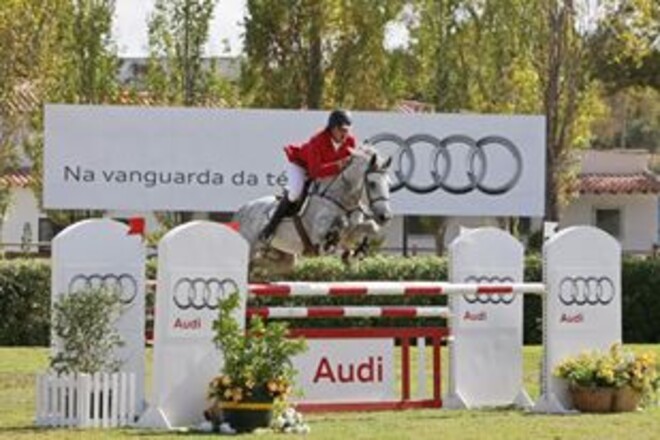 Xutterfly verkocht door Premium Sporthorses