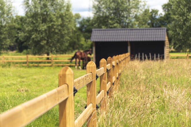 Kies voor duurzame en kwalitatieve paardenomheining met Densiforce®