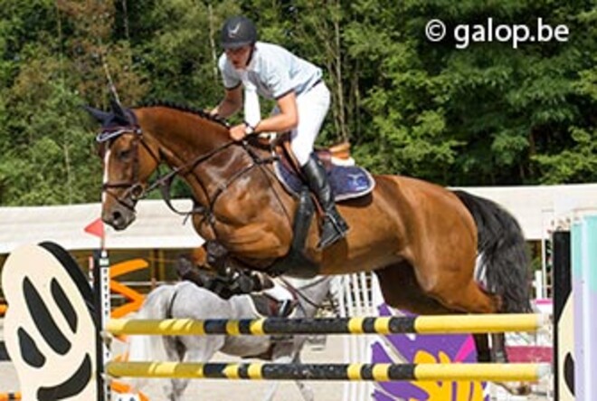 Bradt wint Beker Young Riders