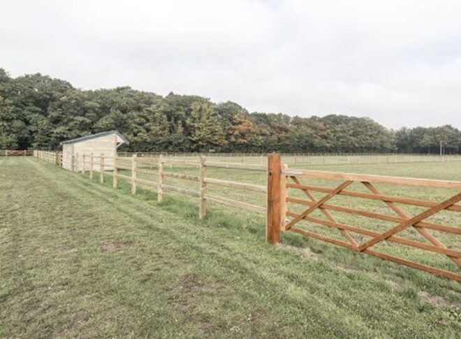 Bescherm uw paard!