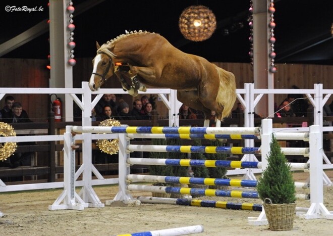 Jones du Chapitre winnaar halve finale 2j