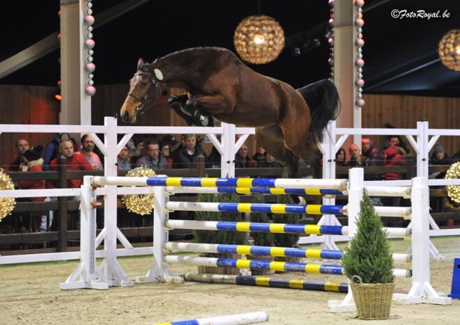 Happy vd Gulden wint halve finale!