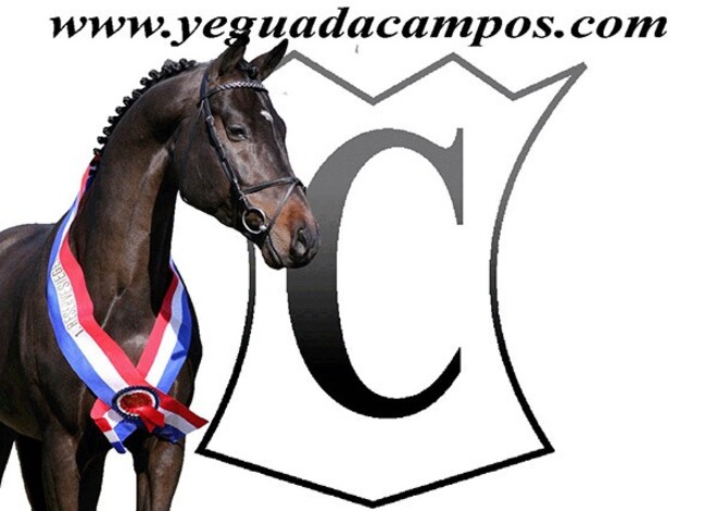 Cumthago en Inar C bevestigen (video!)