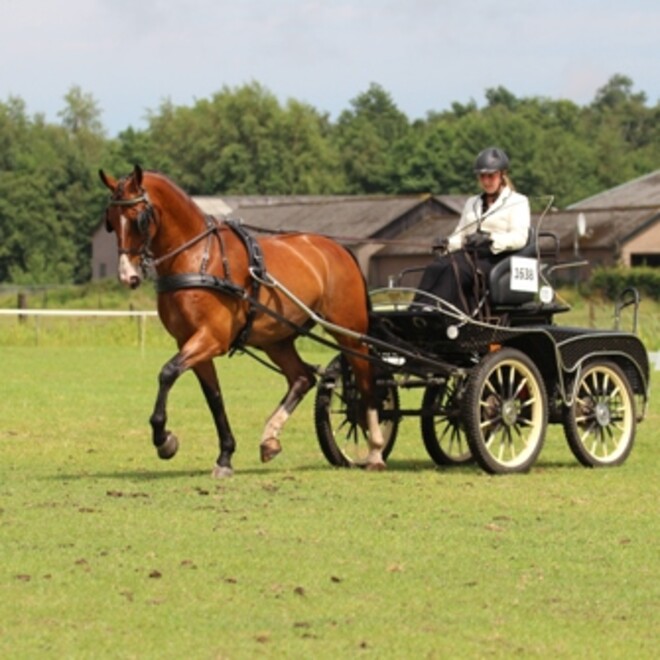 Negen finalisten in tweede selectiewedstrijd Talentencompetitie