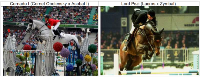 CORNADO NRW en LORD PEZI !