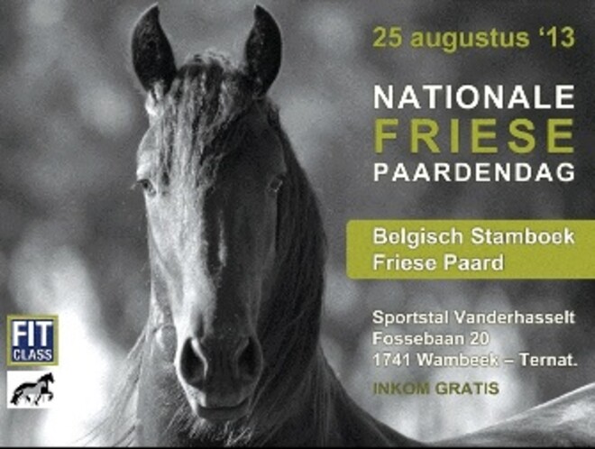 Ternat, Nationale Friese paardendag - 25 augustus