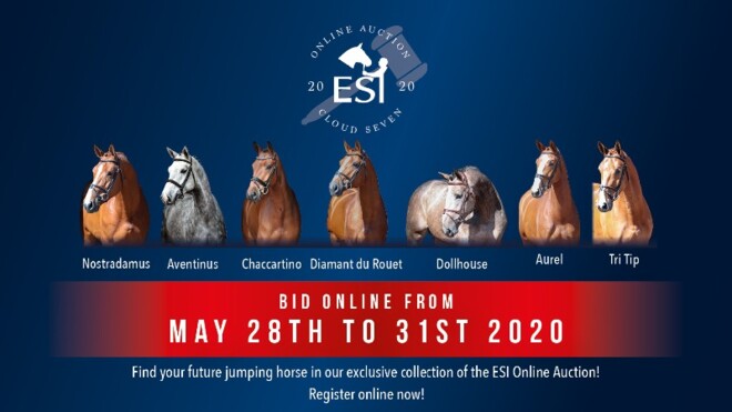 ESI online veiling "Cloud Seven": 28-31 mei