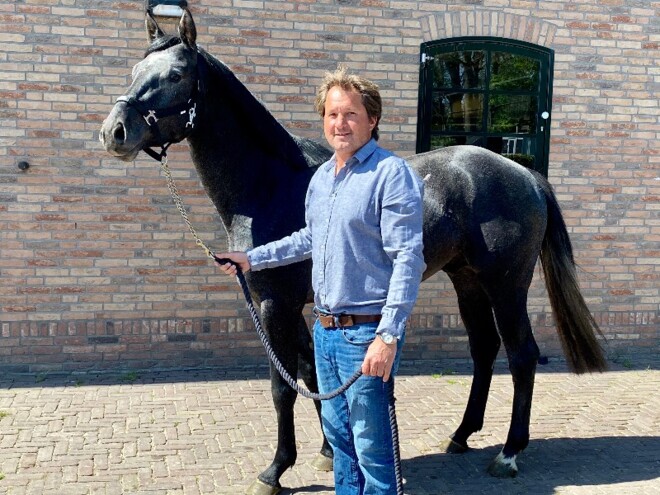 Youhorse.auction: Amerikanen kopen fanatiek