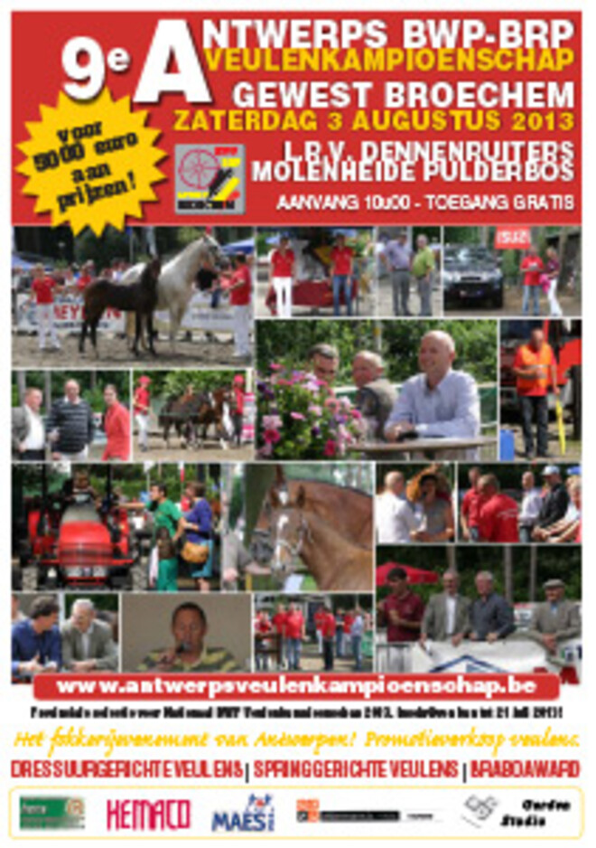 Onverwacht veel inschrijvingen op Antwerps Veulenkampioenschap!