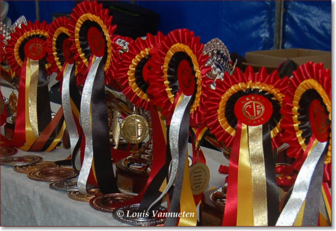 Belgisch Kampioenschap in Elsegem 19-20 sept