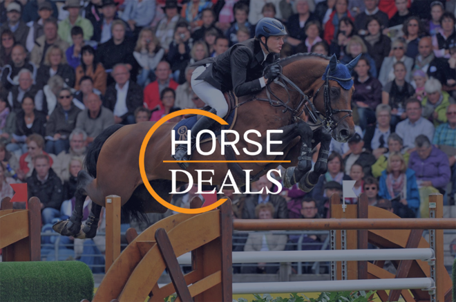 Fokkers grijpen hun kans bij HorseDeals