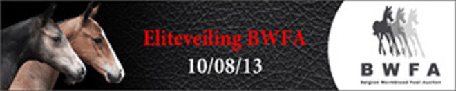 De selectie veulens BWFA 2013: topkwaliteit alom!