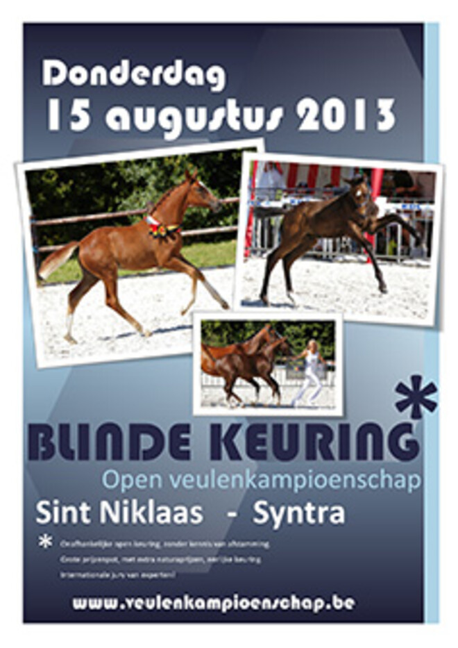 Open veulenkampioenschap "Blinde Keuring"