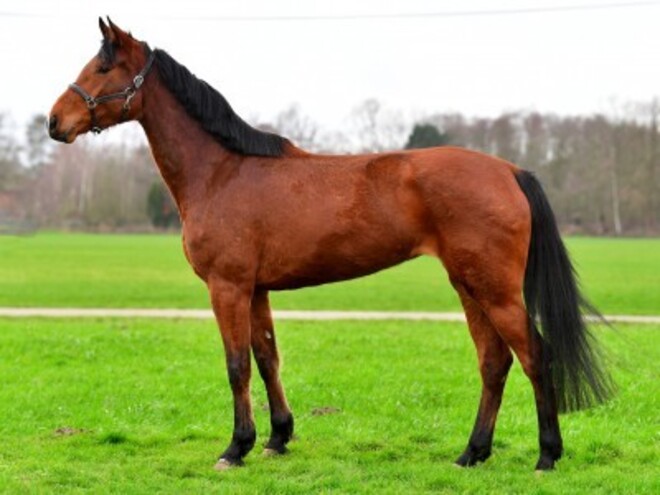€36.000 voor Charlotte du Reventon!