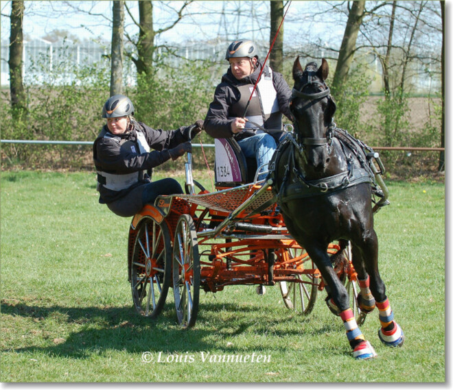 Poppen wint tweede wedstrijd KNHS Para Mentrophy